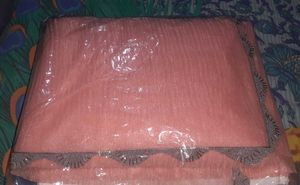 Brand New BOLLYWOOD SLIVER SEQUENCE LACE SAREE