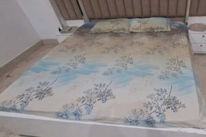 Beautiful Gloria Pure Cotton double bed sheet