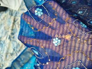 Blue Saree Without Blouse( Clearence Offer)