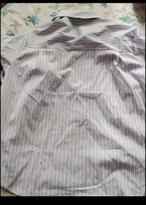 bow shirt