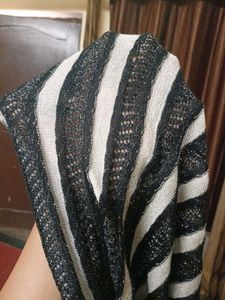 Sheer Shimmer Top