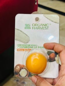 5 Product Combo Loot Deal