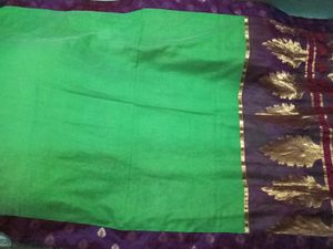 GentlyUsed GreenWithPurpleBorder  LeafPattern Sare