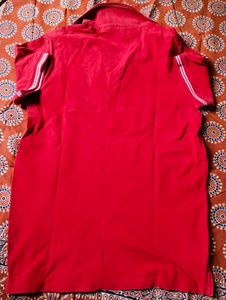 Men&#39;s Lacoste Tshirt