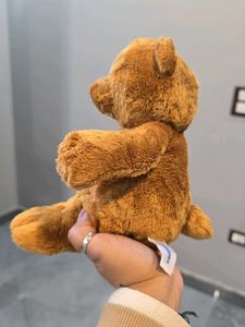 Cute Brown Teddy Bear