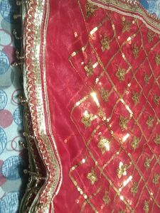 Wedding Bridal Dupatta