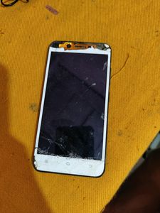 Vivo 16
