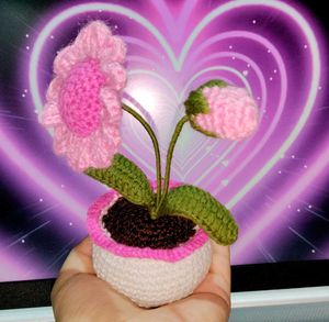 Crochet Pink Flower in Pot