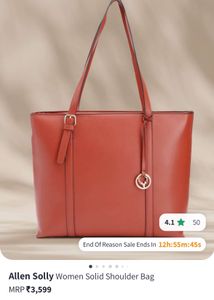 Allen Solly Marron Laptop HandBag