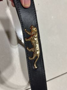Sabyasachi Master Copy Belt