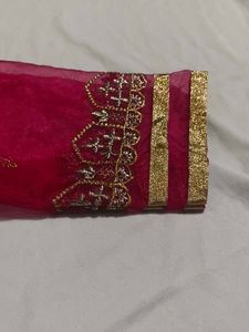 Elegant Lehenga Choli Set