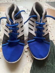 Shoes Blue Stylish