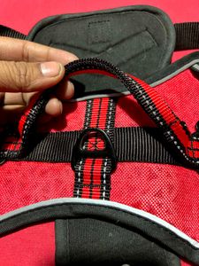 Dog Harness with Leash – Size L