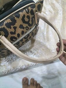 Chitta Print Handbag