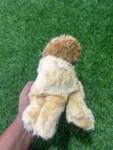 Adorable Lion Plush Toy