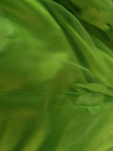 Green Lehenga Choli Set