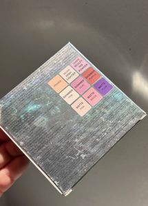 Dior Backstage Eyeshadow:-002 Cool Neutrals