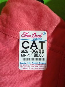 Women Cat Bra ( Combo Pack Of 4p )