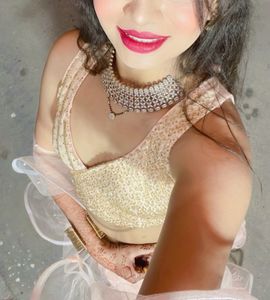 Bollywood Style Crop Top Choli