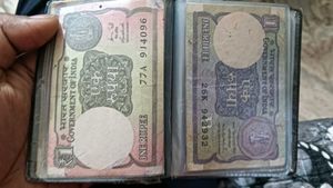 Vintage Indian Currency Collection