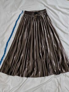 Shiny Pleated Skirt