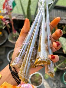 3 Henna Cones - Natural Mehndi
