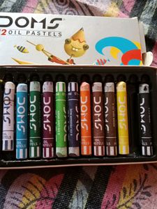 Doms 12 Oil Pastels