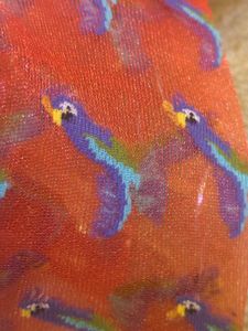 Funky Parrot Mesh Glittery Socks