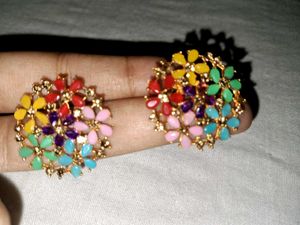 Multicolored Earrings