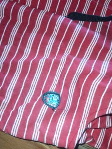 Shorts For Women