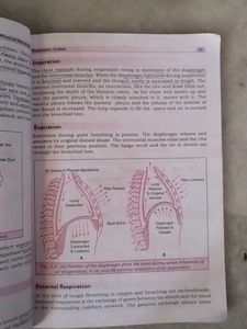Physical Education Class 9