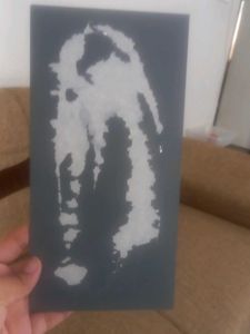 Laminate Panels Like Mirror Sheets