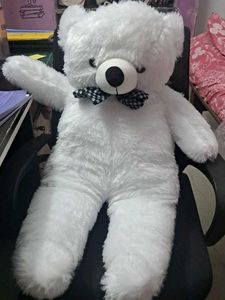 Cute White Teddy Bear