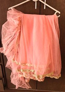 New Peach Net Saree