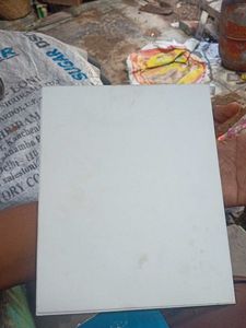 Vintage Holographic Shark Book
