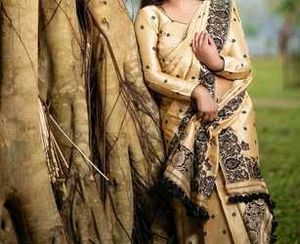 Assamese traditional mekhela sador New