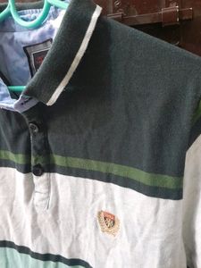 Green Colour Polo T-shirt From Dutch Harbour