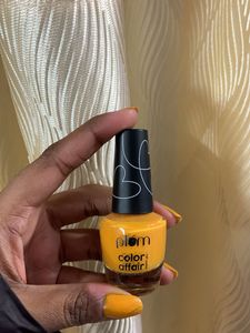 Plum Color Affair Nail Polish