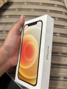 Apple 12