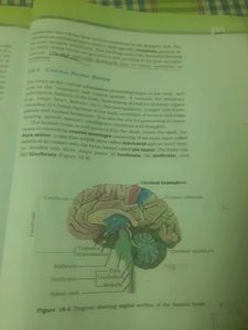 NCERT