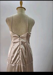 Elegant Biege Evaning Gown 🦋