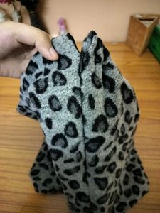 Animal Print Mini Skirt