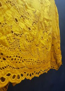 Schiffli Embroidered Mustered Georgette SKirt