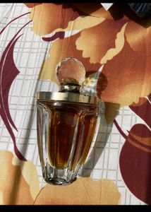 Taylor Swift Perfume