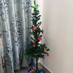 Christmas Tree | 5 Feet