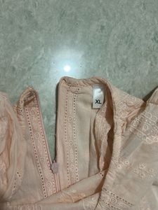 Chikankari Peach Top