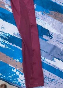 Solid Women Maroon Tights