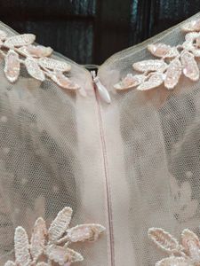 Elegant Light Pink Gown