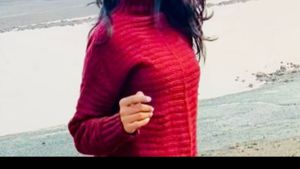🌸maroon Crochet Sweater Top