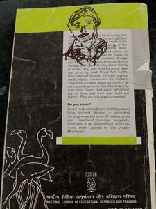 Class 12th Textbook Flamingo